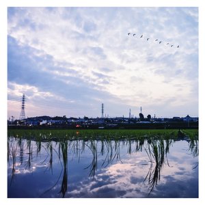 国产国模在线无码观看免费
